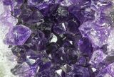 Purple Amethyst Cluster - Uruguay #66793-2
